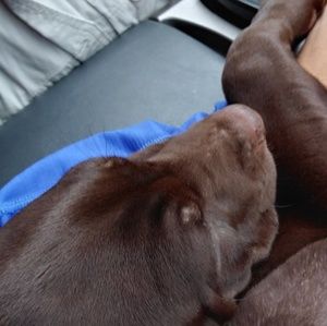 Meet your Posher, Ben